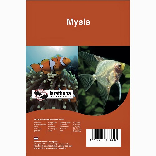 Mysis frozen in blister pack